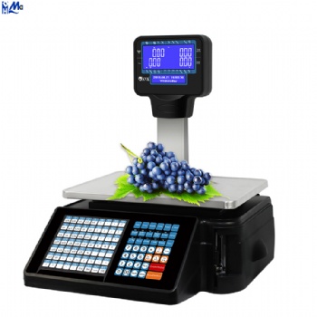 Barcode and Receipt Label Printing Digital Weighing Scale with Price Computing for Cash Register Shop a20